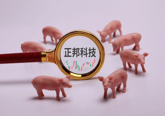 正邦科技百亿亏损背后:去年生猪销售毛利率-50% 一年减员14000人